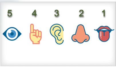 טכניקות הרגעה